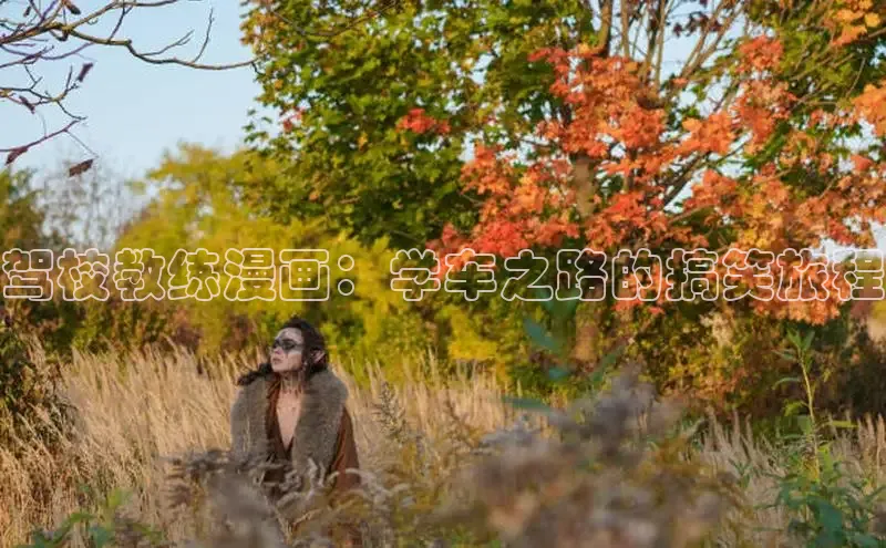 新新漫画官网入口在线阅读